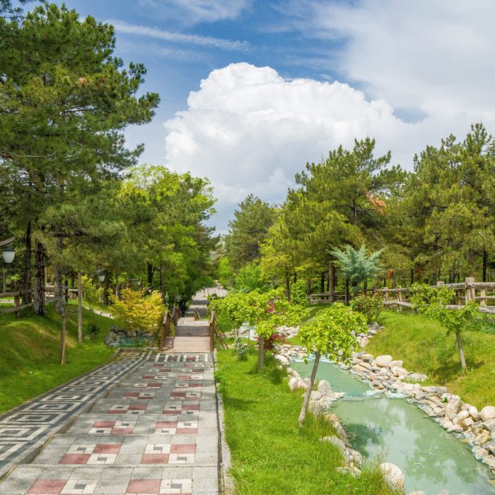 pexels-murat-halıcı-16943379